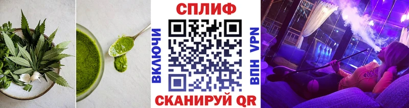 мориарти телеграм  Кисловодск  Еда ТГК марихуана 