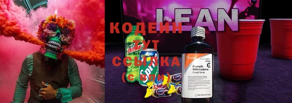 хмурый Бородино