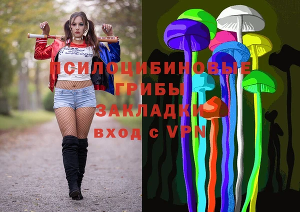 хмурый Бронницы
