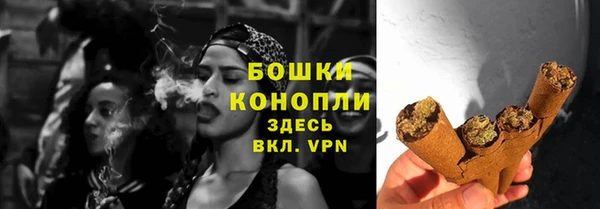 хмурый Бородино