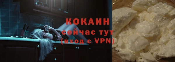 хмурый Бородино