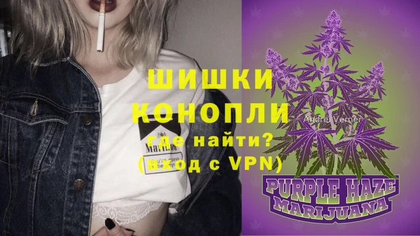 хмурый Бронницы