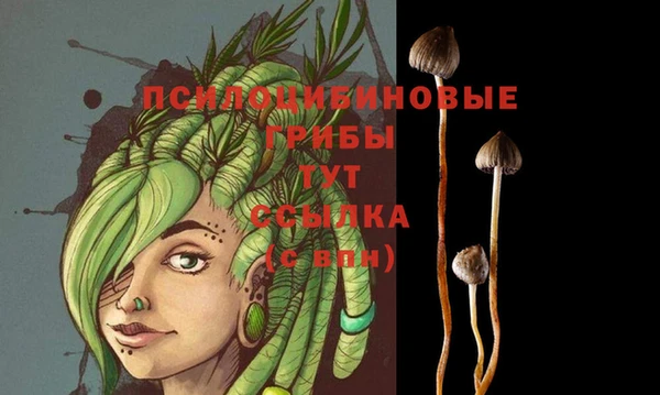 хмурый Бронницы