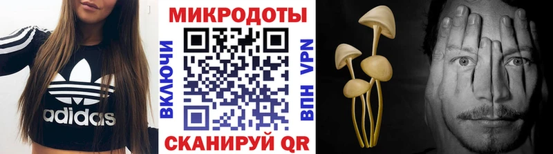кракен ССЫЛКА  Кисловодск  Галлюциногенные грибы Psilocybine cubensis 